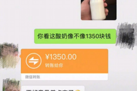 广水企业清欠服务